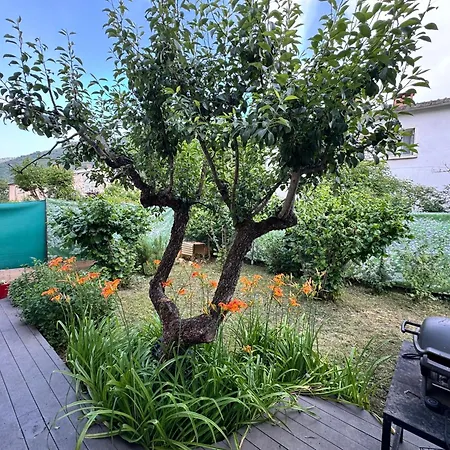La Florence Provencale, 6 Chambres, Piscine, Veranda 度假居